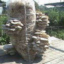 ���� ����������, ������ ����� - ��������� 24 ������� 2012 � ������ ���� ����������