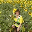 ���������� � ����������� �� ������� ���� ����������������