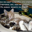 ���� ����, ����������� - ��������� 9 ������� 2010 � ������ ������� ���� �������)�