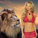 ���� ������, ������ - ��������� 21 ��� 2011 � ������ ���� ����������