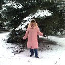 ���� �����, ���������� - ��������� 7 ������ 2013 � ������ ���� ����������