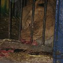 ���� �������, �������, 38 ��� - ��������� 28 ������ 2010 � ������ ������� �����!!!�