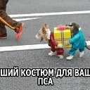 ���� ������, ������-��-����, 47 ��� - ��������� 6 ���� 2013 � ������ ������ ��������