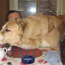 ���� Valeriy, �����-��������� - ��������� 19 ���� 2013 � ������ ���� ����������