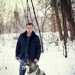 ���� ����, �����������, 38 ��� - ��������� 22 ��� 2013