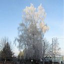 ���� ������, �����������, 55 ��� - ��������� 23 ������� 2011 � ������ �������