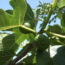 ����� �� ������� �����.����.�����.�