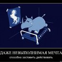 ���� ����, �����-���������, 42 ���� - ��������� 20 ����� 2011 � ������ ������...�