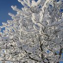 ���� ������, �������, 55 ��� - ��������� 22 ������ 2010 � ������ ����� 2010�