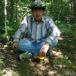 ���� ������, ������, 54 ���� - ��������� 17 ������ 2012