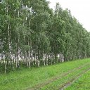 ���� ������, ��������, 63 ���� - ��������� 16 ������� 2009 � ������ ���� ����� ������