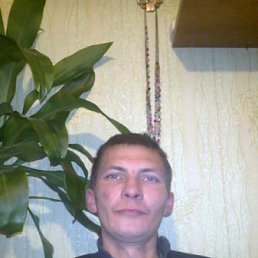 �������, ����, 46 ���