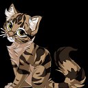 ���� �����, ������ ��������, 29 ��� - ��������� 17 ������� 2011 � ������ �PetLove�