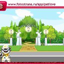 ���� ���, ������, 30 ��� - ��������� 10 �������� 2010 � ������ �PetLove�