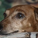 ���� �����, ������, 60 ��� - ��������� 15 ������� 2010 � ������ ��������