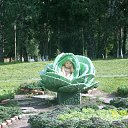 ���� �����, ������, 49 ��� - ��������� 7 ���� 2012 � ������ �������