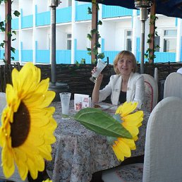 ������, ����������, 66 ���