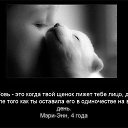 ���� ������, ������, 36 ��� - ��������� 16 ���� 2013 � ������ ���� ����������