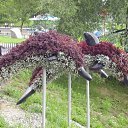  Wit, , 59  -  13  2009    