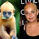 ���� ������, ������, 27 ��� - ��������� 23 �������� 2011 � ������ ���� ����������