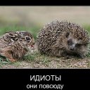 ���� ����, ������ - ��������� 29 ���� 2013 � ������ ���� ����������