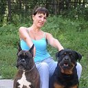 ���� �����, ���������, 49 ��� - ��������� 15 �������� 2011