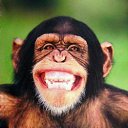 ���� �������, �����-��������� - ��������� 18 ������ 2012 � ������ ���� ����������