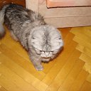 ���� Svetlanas, ���������, 47 ��� - ��������� 7 ���� 2010 � ������ ���� �������