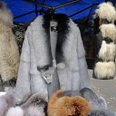 ���� �������, ���, 67 ��� - ��������� 15 ������ 2013 � ������ ��������� ��������� ��������� � ����-��� (������ 2012�)�