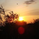 ���� ���������, �����-���������, 57 ��� - ��������� 12 �������� 2011 � ������ �������