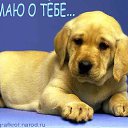 ���� ������, ���������, 52 ���� - ��������� 22 ��� 2013 � ������ ���� ����������