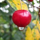 ���� Aleksandr, ���������, 46 ��� - ��������� 6 ����� 2010 � ������ ��������� ��������