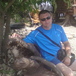 ���� ���������, ���������, 54 ���� - ��������� 12 ������ 2012