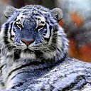 ���� !!!������!!!, �����������, 53 ���� - ��������� 21 ������� 2012 � ������ ���� ����������