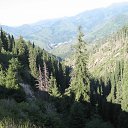 ���� ������, ������, 42 ���� - ��������� 16 ���� 2012 � ������ ���� ����������