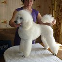 ���� �����, �������, 68 ��� - ��������� 4 ������� 2012 � ������ ���� ����������