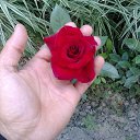 ���� ��������, ������, 45 ��� - ��������� 1 ���� 2013