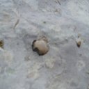 ���������� ��������, �.� ����� ��� �� ����� ��� ���� ������� �� 2000 � ���� ������ ����) �� ������� ���� ����������