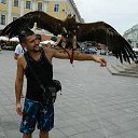 ���� ���������, �����-���������, 38 ��� - ��������� 14 ������� 2012