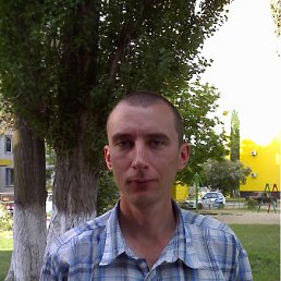 ���, 46 ���, ����������