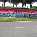  Johann, , 37  -  17  2011   italy 2011