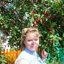 ���� �������, ������ - ��������� 23 ������� 2011 � ������ ���� ����������