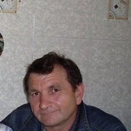 ������, �������, 66 ���