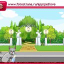  , , 49  -  26  2010   PetLove