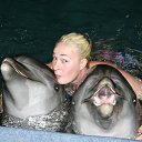 ���� ��������, ���������� �����, 52 ���� - ��������� 30 ����� 2012 � ������ ���� ����������