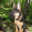 ����. ��� ���!