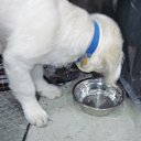 ���� "@����", �����-���������, 25 ��� - ��������� 3 ��� 2010 � ������ ������ ������