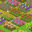 ���� ����, ������, 36 ��� - ��������� 14 ��� 2011 � ������ ������� �������