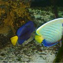 ���� �������, ������������ - ��������� 2 ���� 2010 � ������ �������