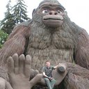 ���� C�����, ���������, 53 ���� - ��������� 12 �������� 2011